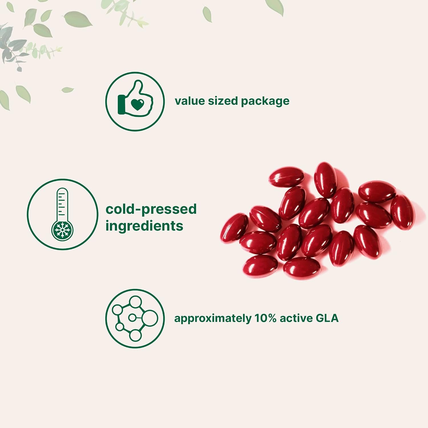 Evening Primrose Oil 1300mg Per Serving, 240 Softgels