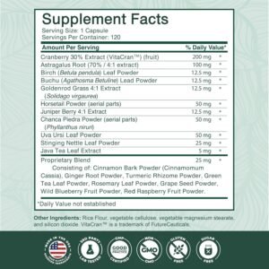 dvh medical Astragalus