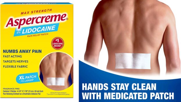 Aspercreme Lidocaine Pain Relief Patches XL (Box of 3)