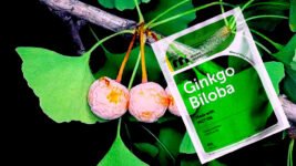 Ginkgo Biloba 120 mg Per Serving, 400 Softgels