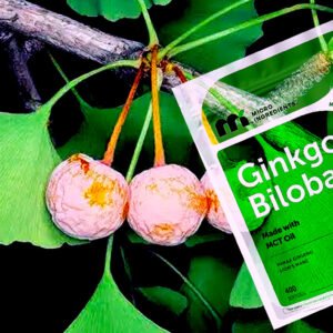 Ginkgo Biloba 120 mg Per Serving, 400 Softgels