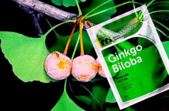 Ginkgo Biloba 120 mg Per Serving, 400 Softgels