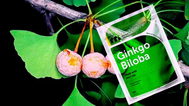 Ginkgo Biloba 120 mg Per Serving, 400 Softgels