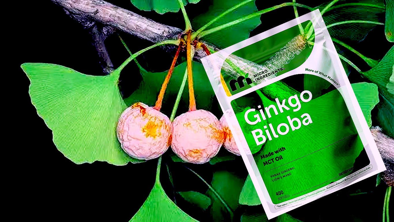 Ginkgo Biloba 120 mg Per Serving, 400 Softgels