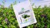 Alfalfa Leaf Powder - Green Superfood for Smoothies