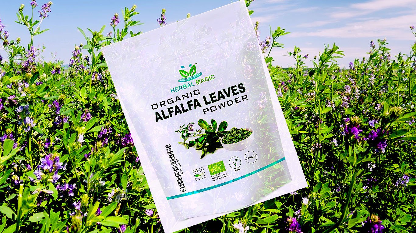 Alfalfa Leaf Powder - Green Superfood for Smoothies
