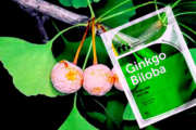 Best Sellers in Ginkgo Biloba