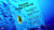 Supreme Omega-3 Fish Oil w/Ultra High EPA & DHA