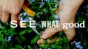Vitamins, Minerals & Supplements